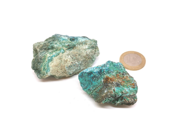 Chrysocolle 