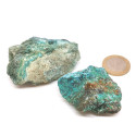 Chrysocolle 