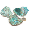 Chrysocolle 