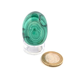 Malachite - Oeuf