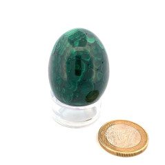 Malachite - Oeuf