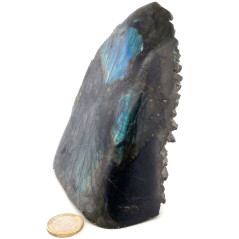 Labradorite - 1 face polie