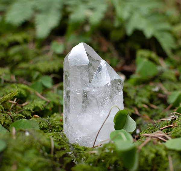 Arbre de vie en cristal de quartz transparent – Arbre de vie en pierres  précieuses pour énergie positive, décoration Feng Shui – Arbre chakra fait  à